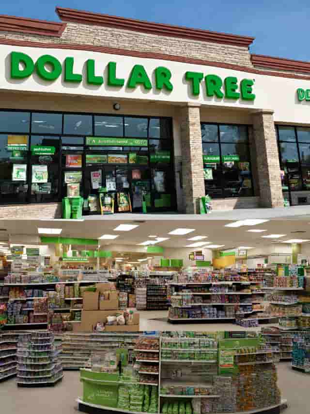 Dollar Tree Raises Max Price to $7: Which Items Will Cost More?